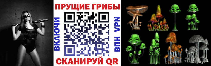 Псилоцибиновые грибы Magic Shrooms  Менделеевск 